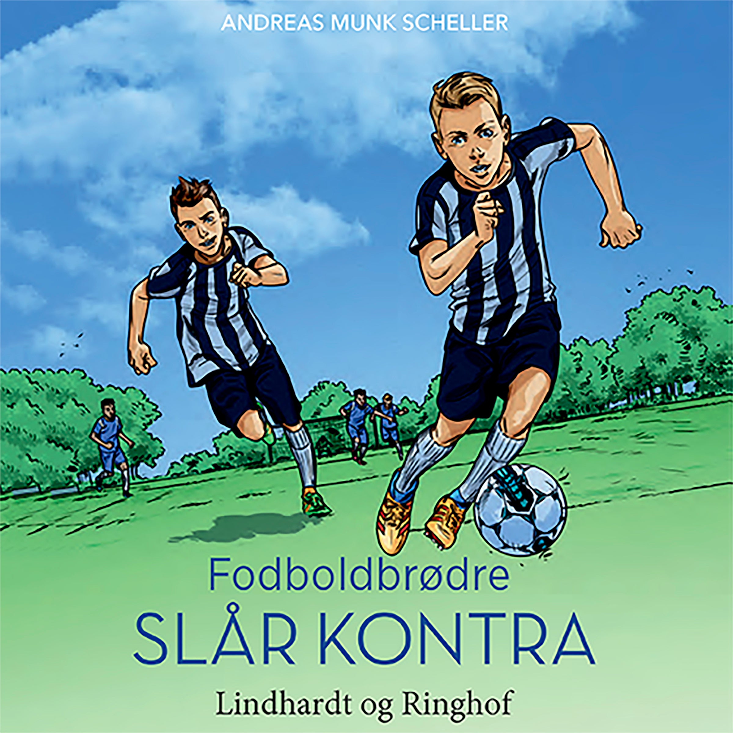 Forside billede